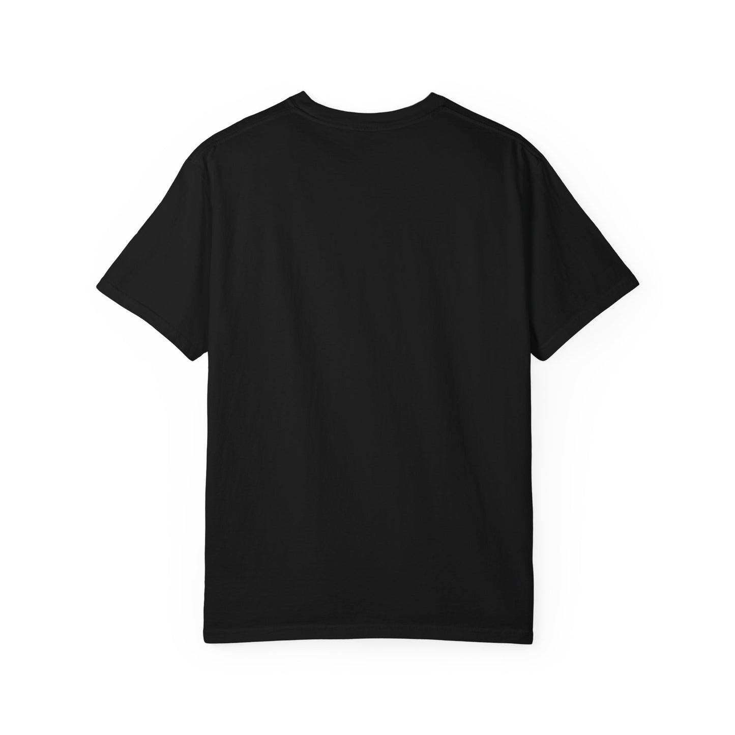 Crash the Oligarchy T-Shirt