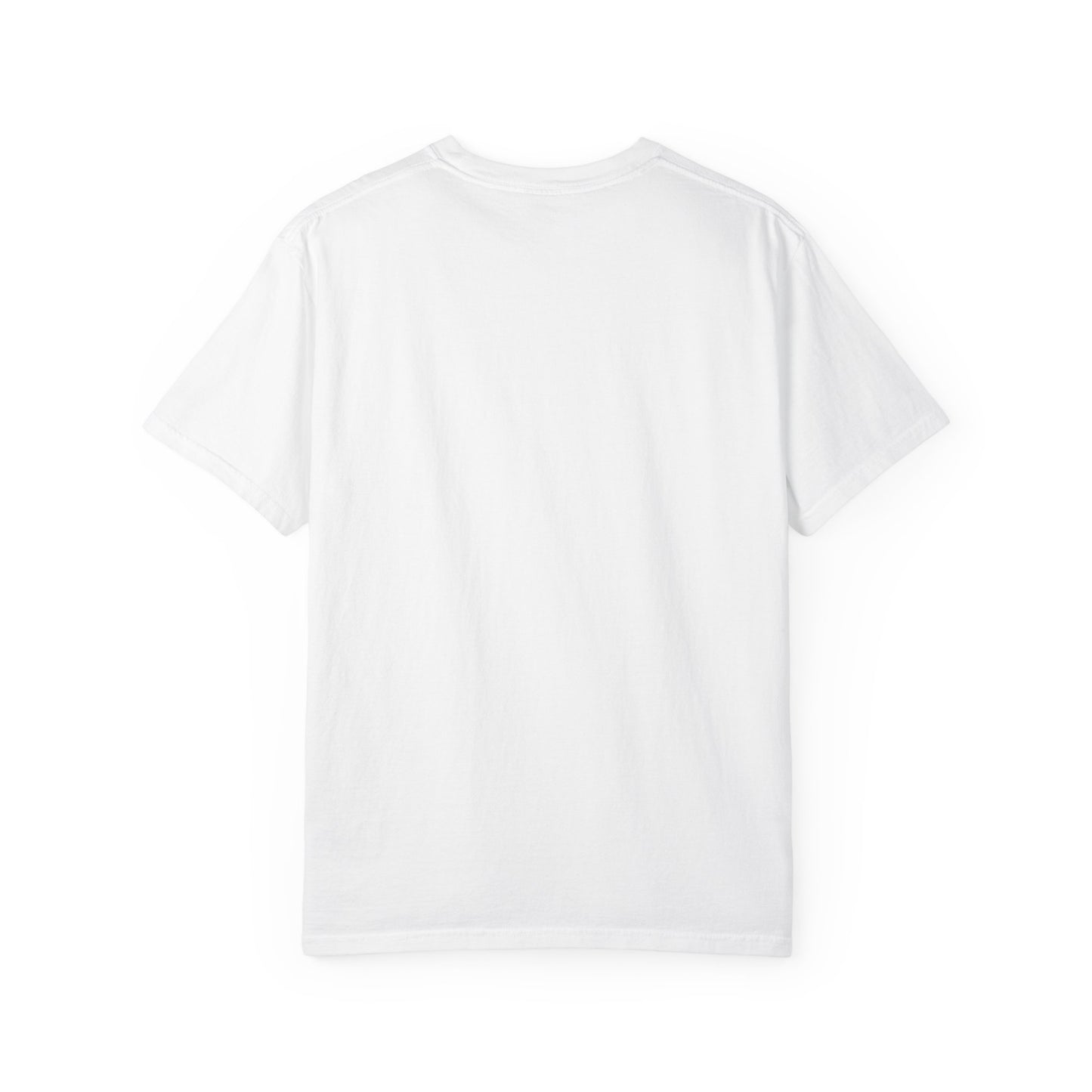 Crash the Oligarchy T-Shirt