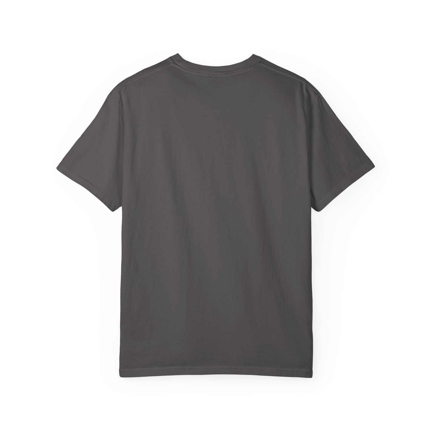 Crash the Oligarchy T-Shirt