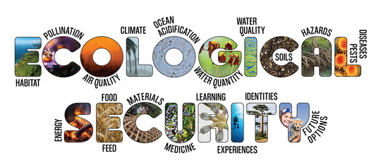 Ecological Security T-Shirt | Redefining Security for the 21st Century