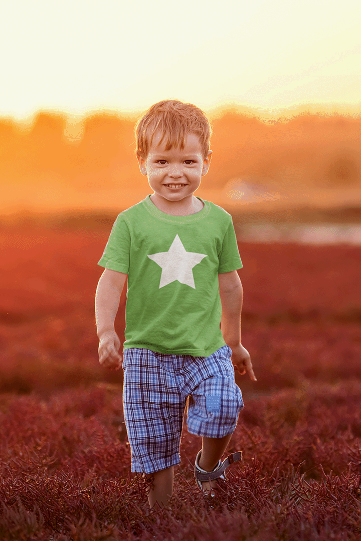 Big star t 2024 shirt