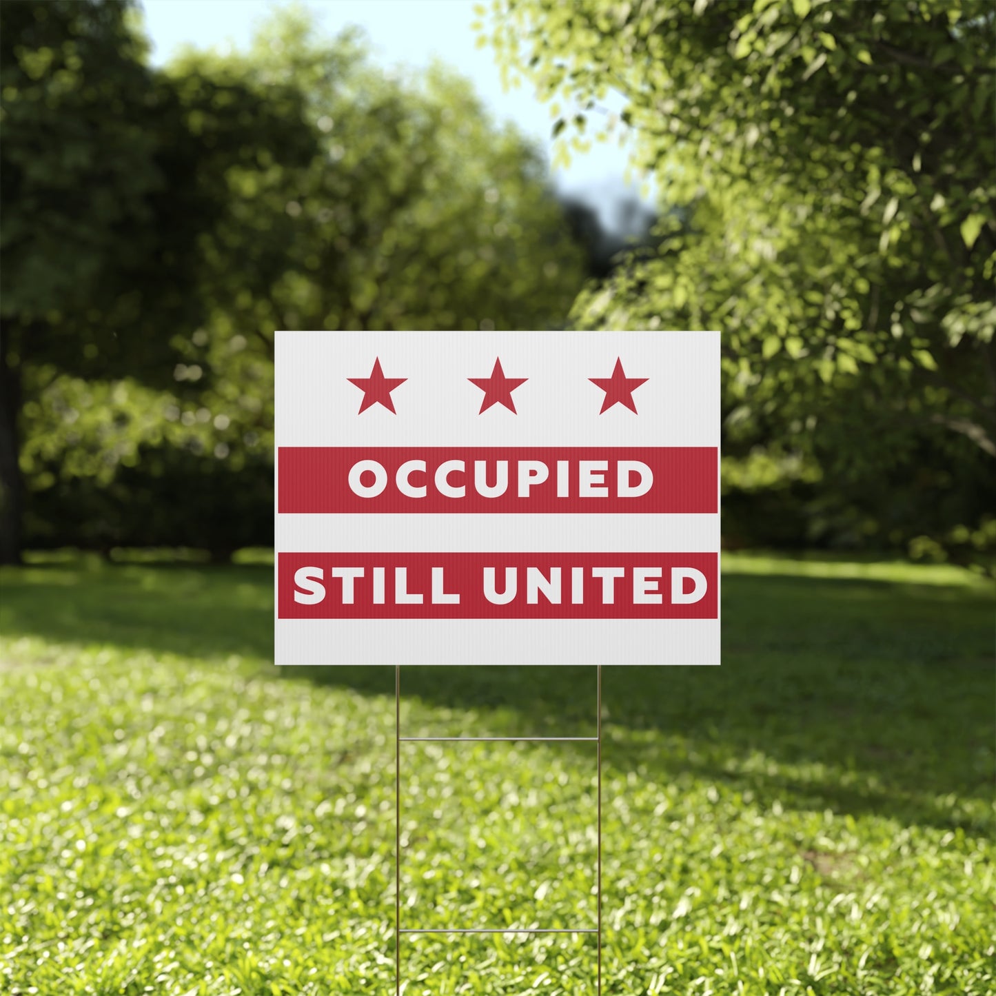DC Resistance Yard Sign - Occupied Still United, District of Columbia Flag yard sign with Aardvark Dreams graphic design