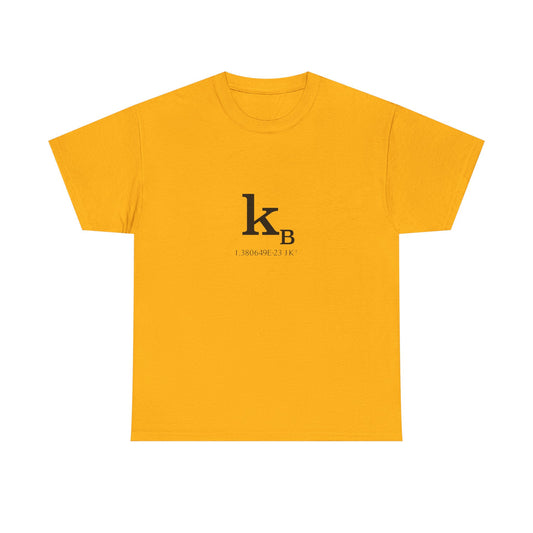 Boltzmann Constant T-Shirt product image from Aardvark Dreams