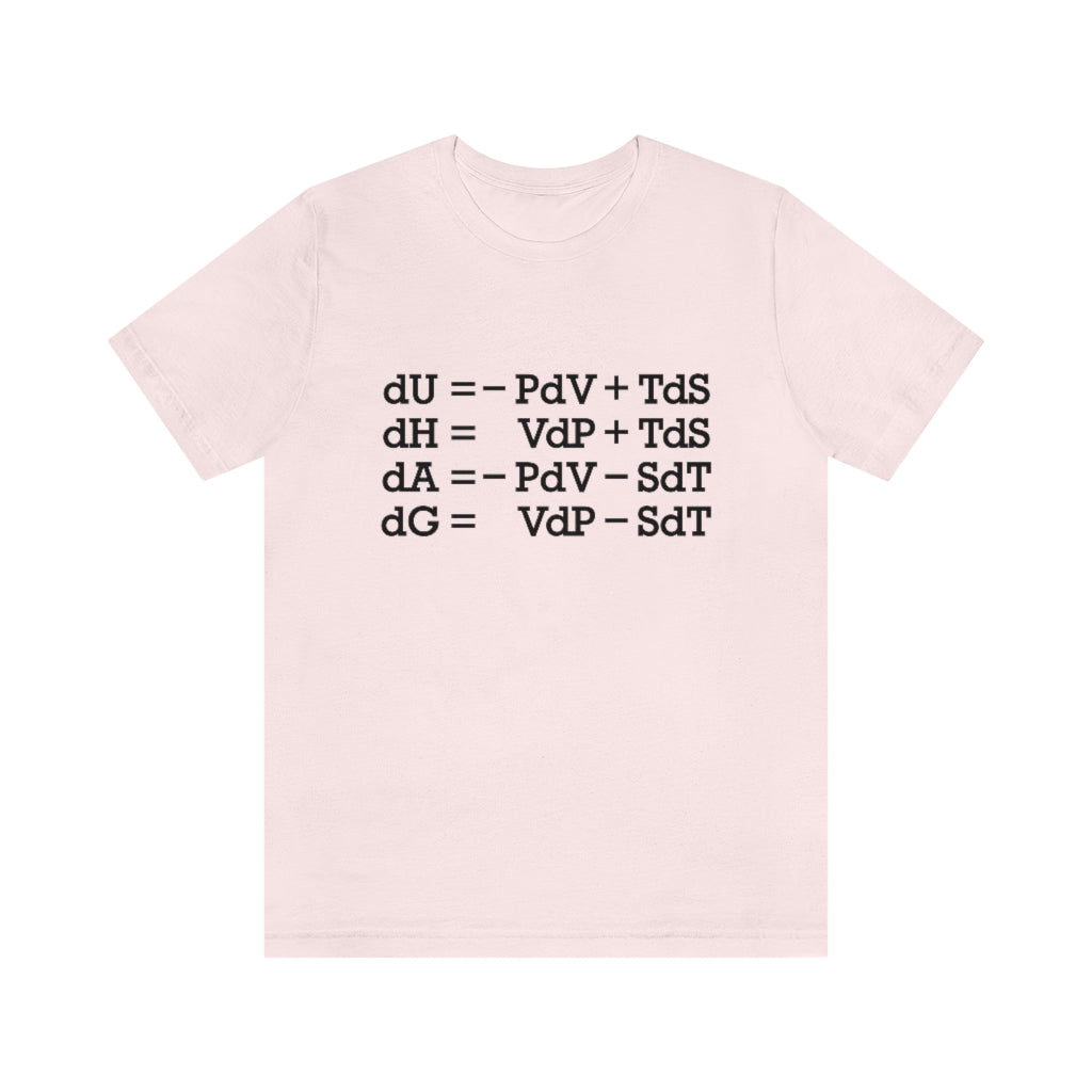 Thermodynamic Functions T-Shirt, by Aardvark Dreams