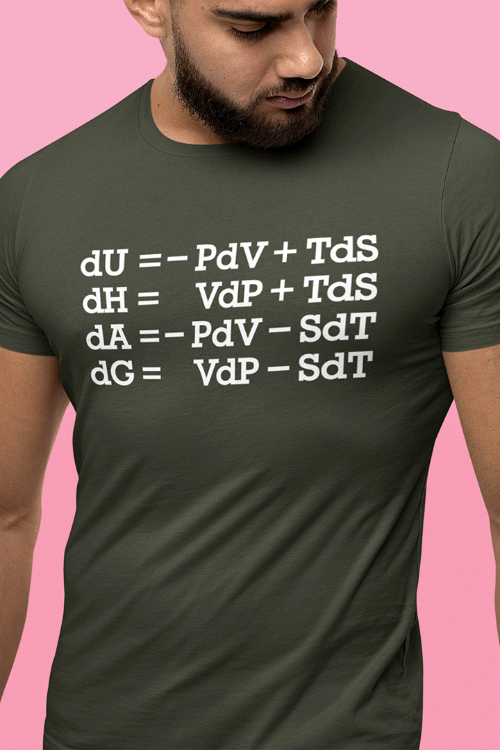 Shirt aardvark dreams physical chemistry thermodynamic functions energy enthalpy entropy gibbs helmholtz maxwell relations pchem p-chem