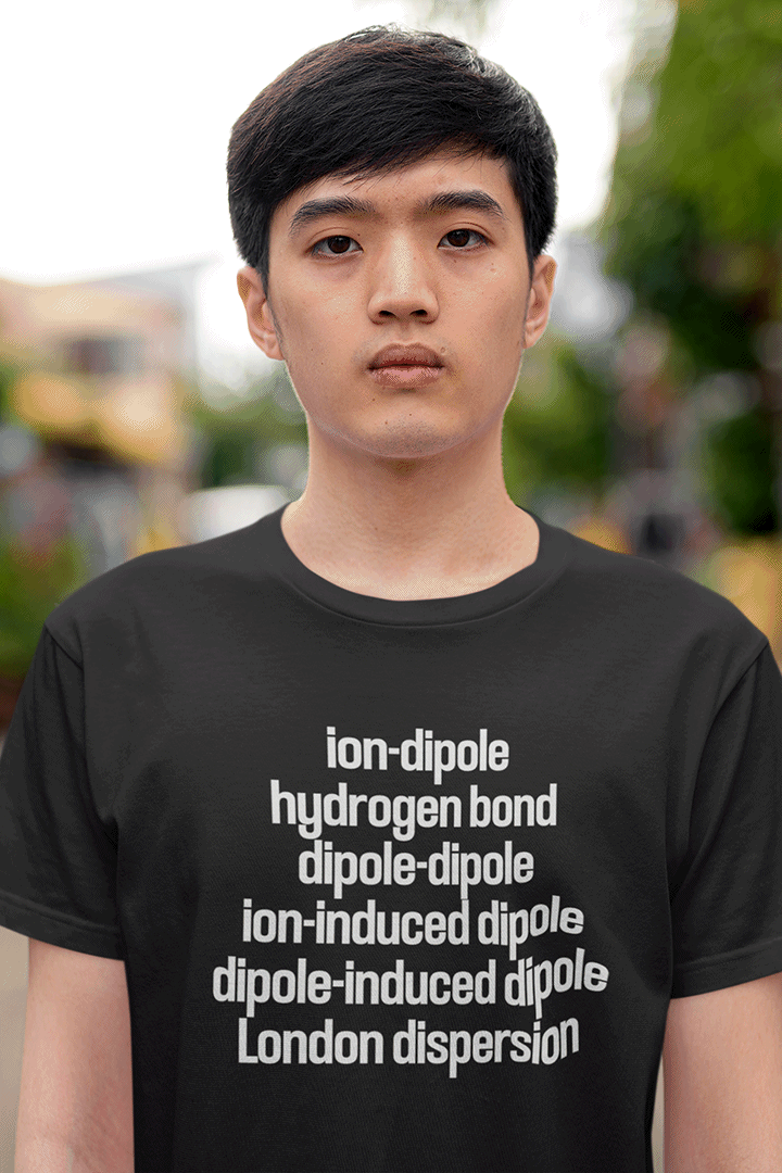 Shirt aardvark dreams intermolecular forces van der Waals forces ion-dipole hydrogen bond dipole-dipole london dispersion chemistry 